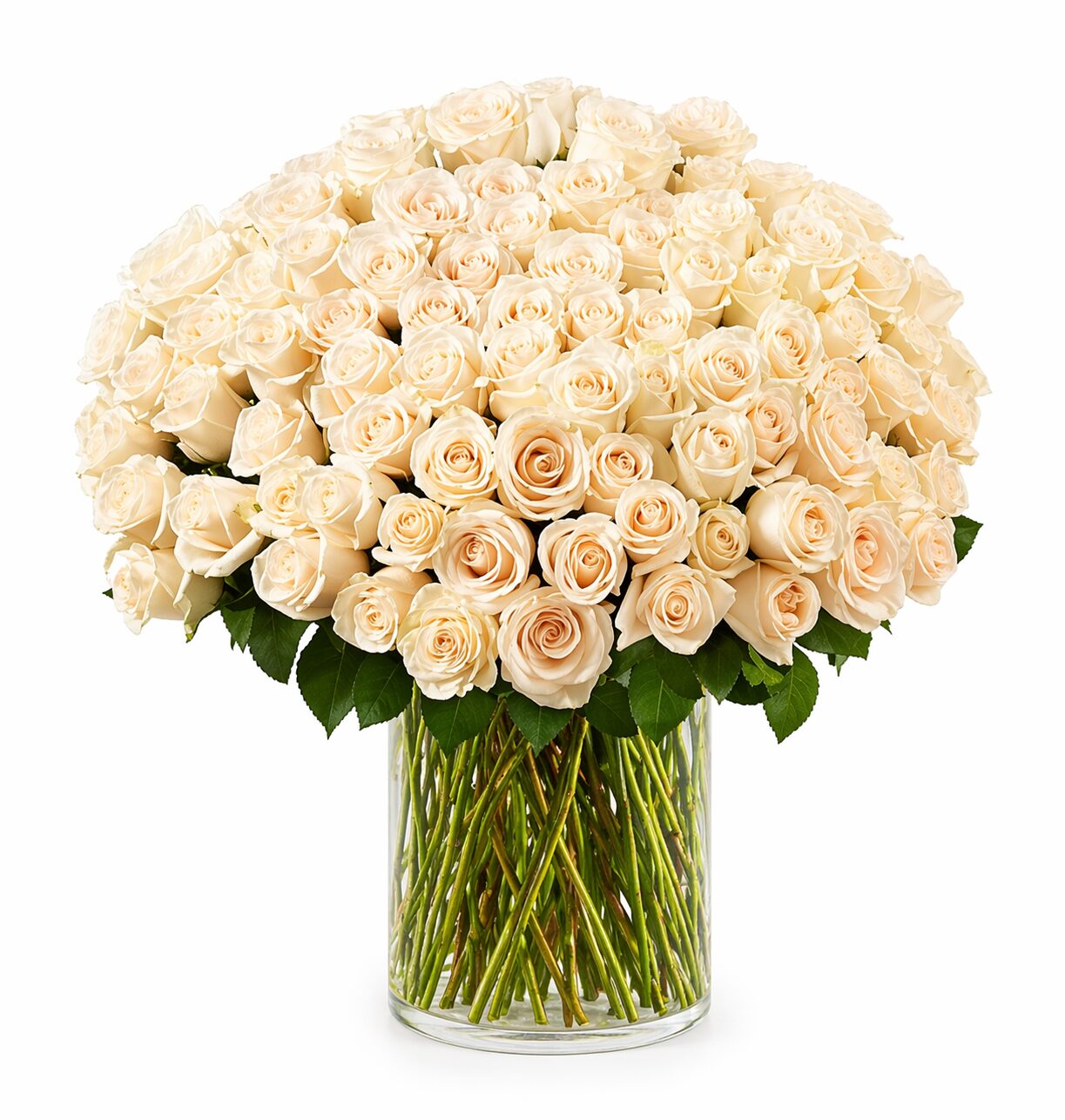 100 White Roses Vase product thumbnail 2