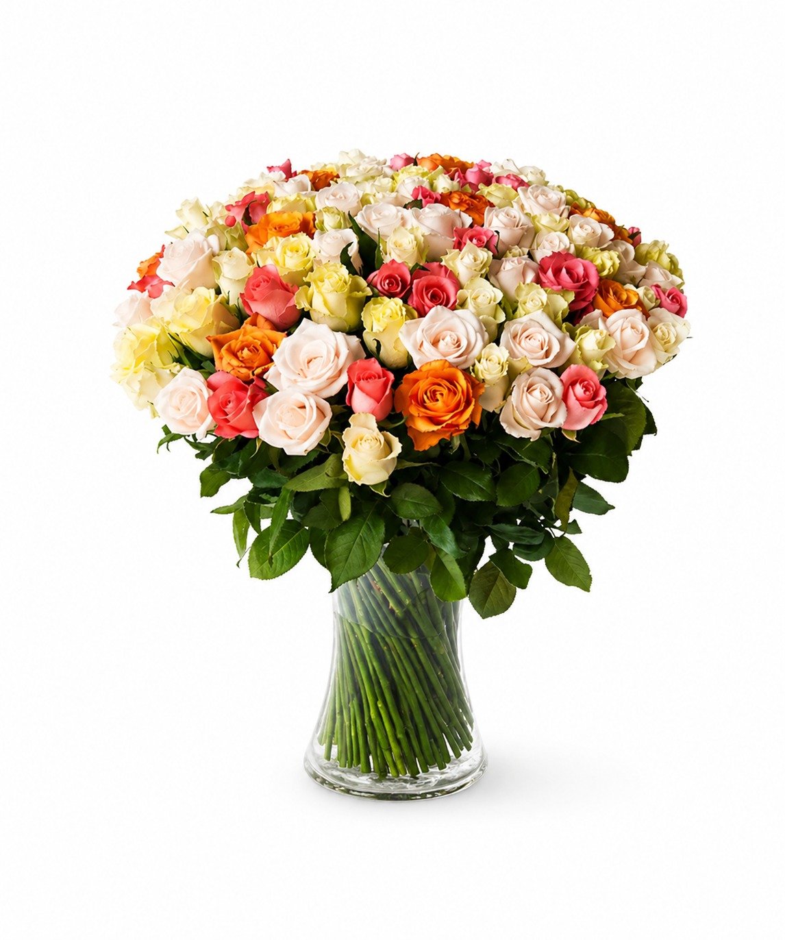 100 Multicolored Roses product thumbnail 2
