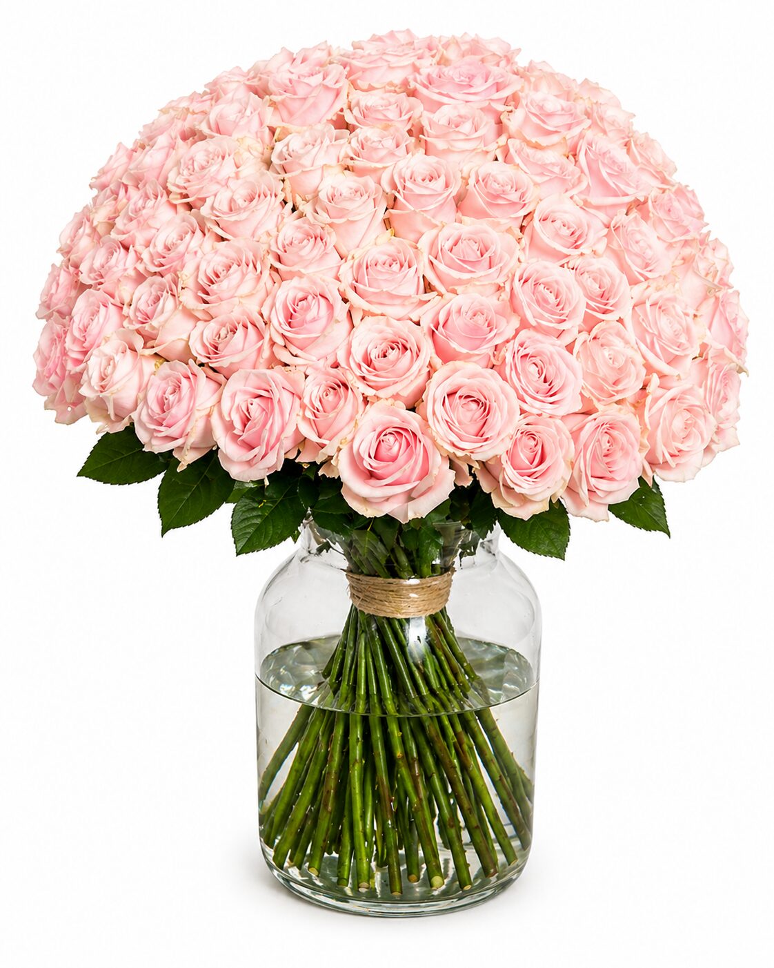 100 Pink Roses Vase product thumbnail 2