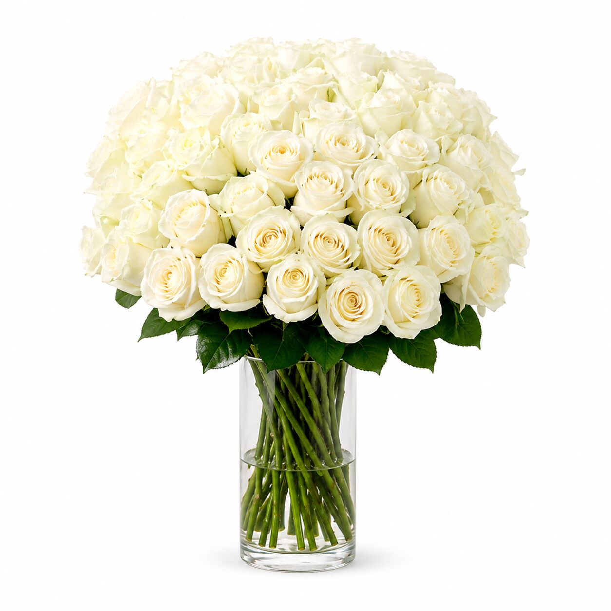 50 White Roses Vase product thumbnail 4