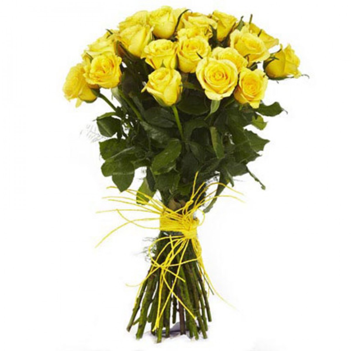 20 Yellow Roses Bouquet product thumbnail 2