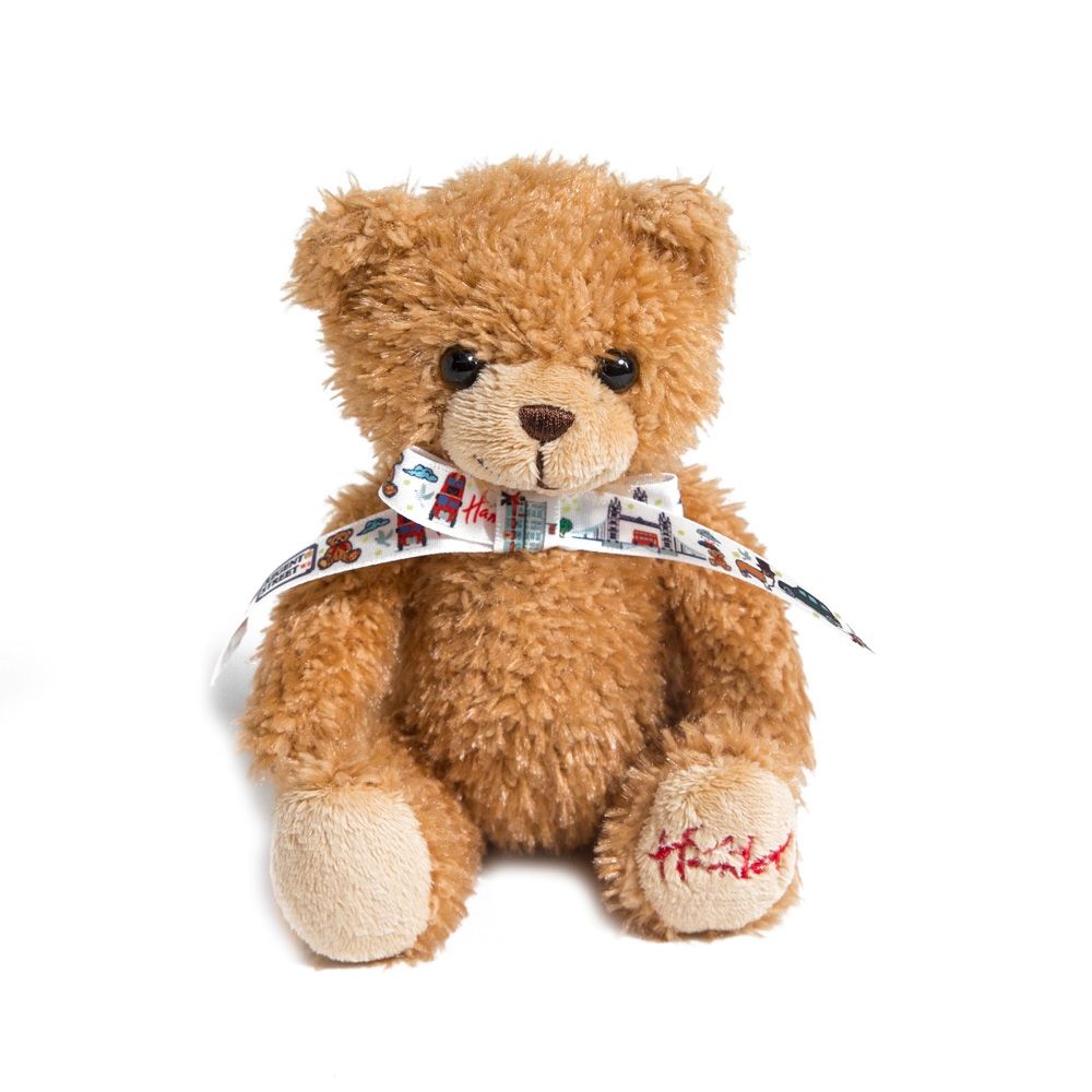 hamleys teddy bear 5 feet