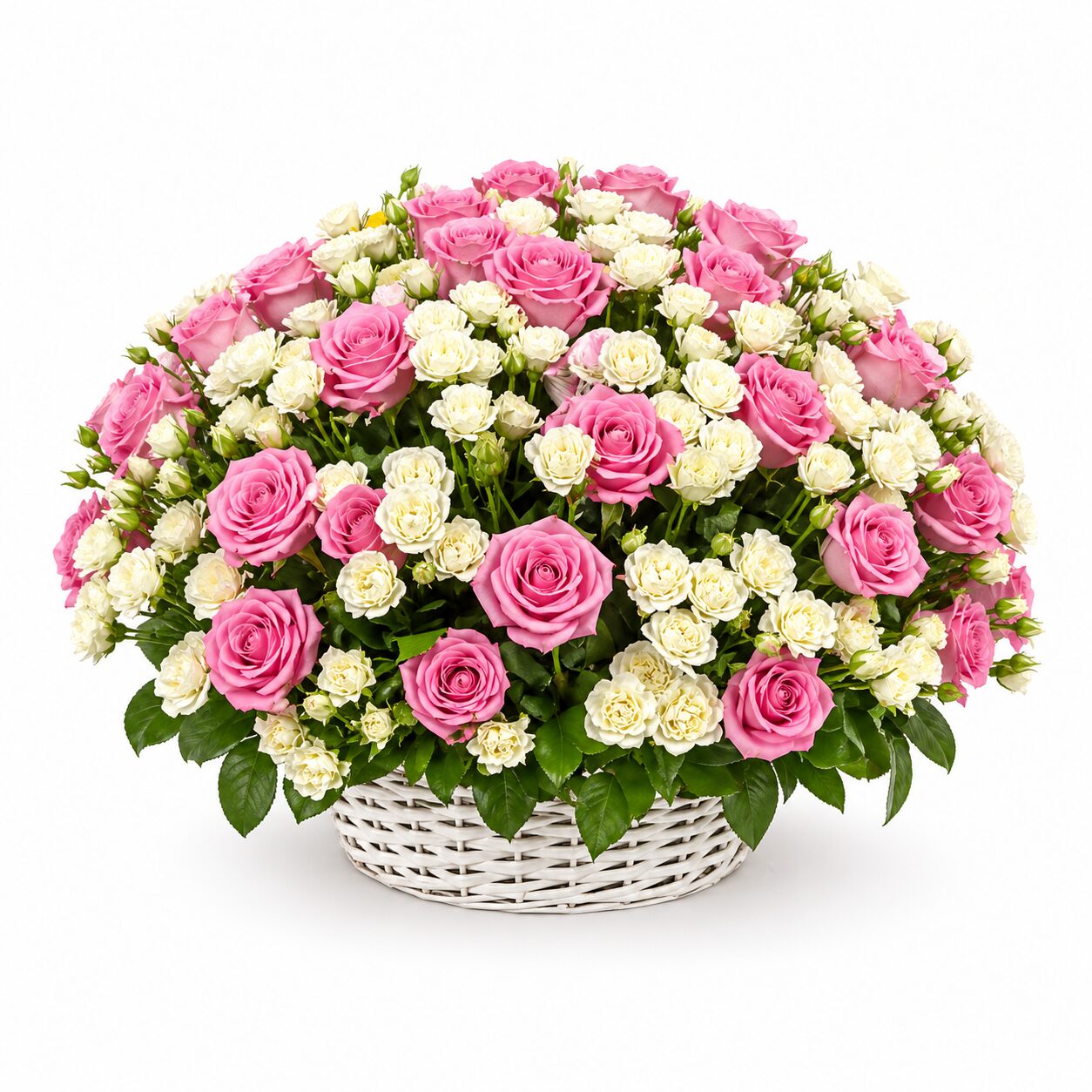 60 Pink & White product thumbnail 2