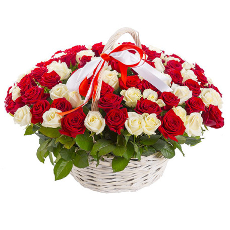 60 Red & White product thumbnail 2