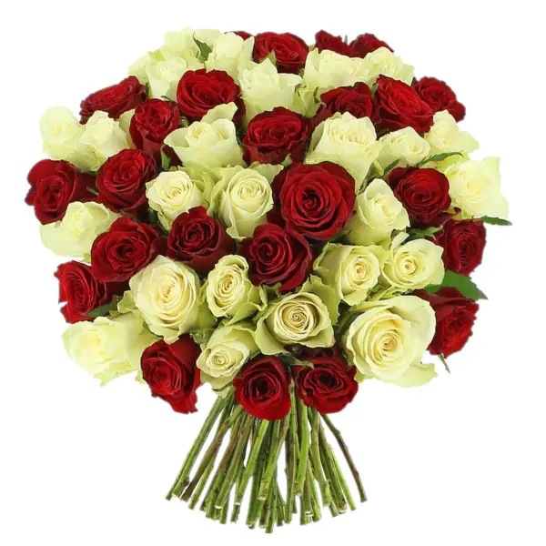 50 Red & White Roses product thumbnail 2