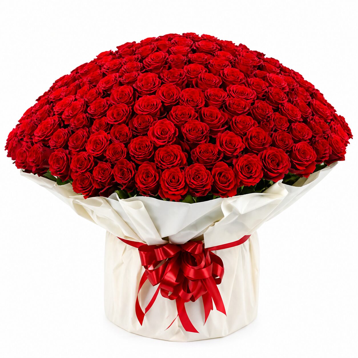 500 Roses product thumbnail 2