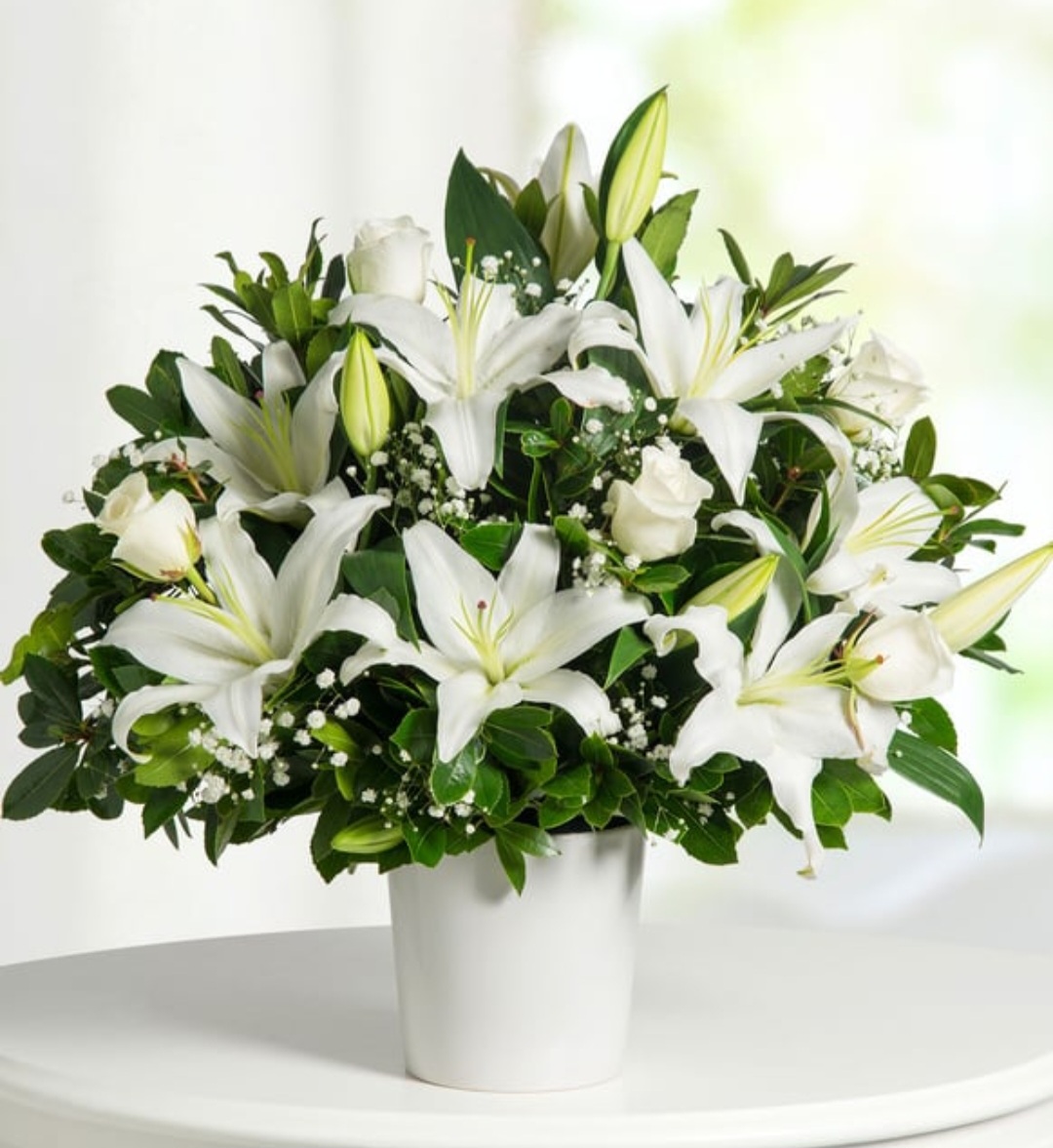 White Celebration product thumbnail 3