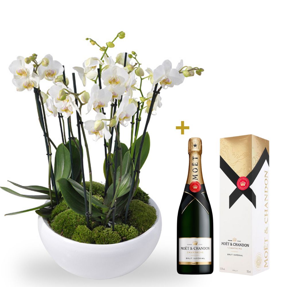 White Orchids and Moët product thumbnail 2