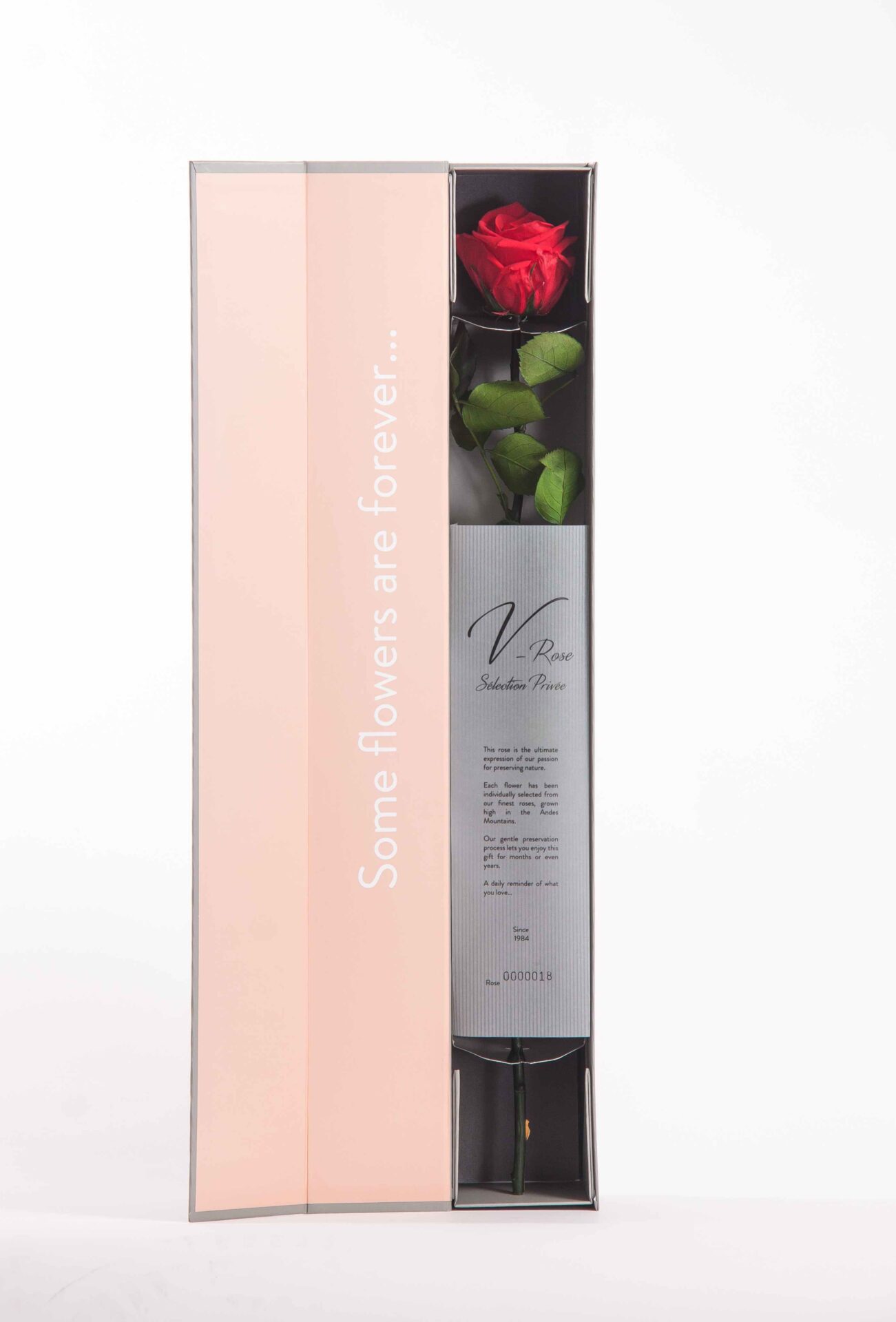 Forever Rose Box product thumbnail 6